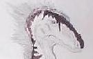My main character, Siva.  Drawn in ink.